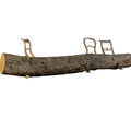 Droog Design Tree-Trunk Bench