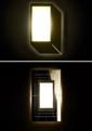 Cuboid