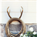 Reindeer Gold Wallmount Garden Hose