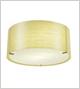 David 21 Ceiling - 5213