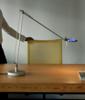 BERENICE Desk Lamp