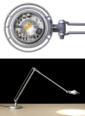 Berenice LED