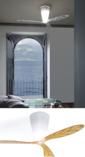 BLOW Ceiling Fan