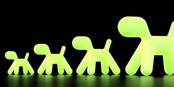 MAGIS | PUPPY GLOW