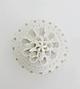 Modern Ceramics Lace F