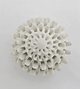 Modern Ceramics Lace A