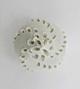 Modern Ceramics Lace B