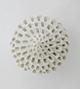 Modern Ceramics Lace D
