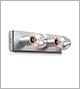 Purity Double Plate 5424