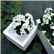 Cubotti Outdoor Planters