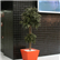 Kabin Outdoor Planters