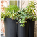 The Vases Outdoor Pot