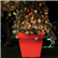 Bordato Liscio Planters Illuminated