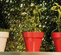 Serralunga Vase Etto Planter Pot